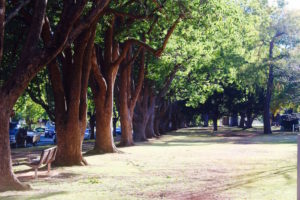 Properties - Toowoomba Holiday Rentals